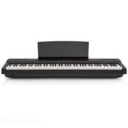Цифровое пианино Amadeus Piano AP-125BK