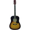 Акустическая гитара Amati MD-6600 OBS