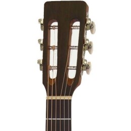 Акустическая гитара Aria ASA-18H N