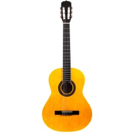 Классическая гитара Aria Fiesta FST-200