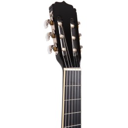 Классическая гитара Aria Fiesta FST-200