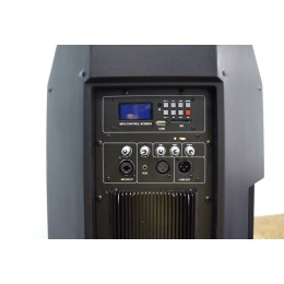 Активная акустическая система Aura B215BI-AMP