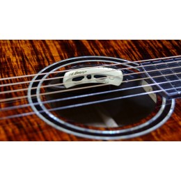 Электроакустическая гитара Crafter LX G-9000ce