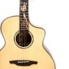 Акустическая гитара Abraham Joshua Love Planet 1.0 NT