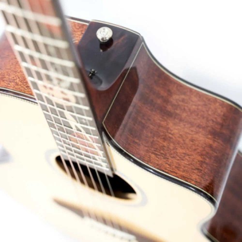 Акустическая гитара Abraham Joshua Love Planet 1.0 NT