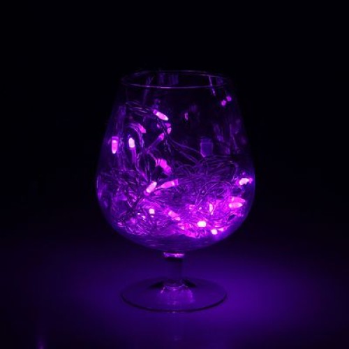 Новогодняя гирлянда Luazon Метраж Игла Led-50 (5 м, фиолетовый) 1080516