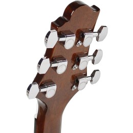 Акустическая гитара Greg Bennett GD-100S