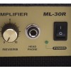 Комбоусилитель Mega Amp ML30R