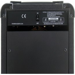 Комбоусилитель Mega Amp PL10