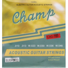 Струны для акустической гитары Champ CAG-700 Silver 10-46