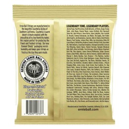 Струны для акустической гитары Ernie Ball 2013 80/20 Bronze 12-String 10-48