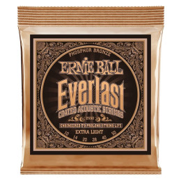 Струны для акустической гитары Ernie Ball 2550 Everlast Phosphor Bronze 10-50