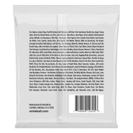 Струны для электрогитары Ernie Ball 2625 8-String 10-74