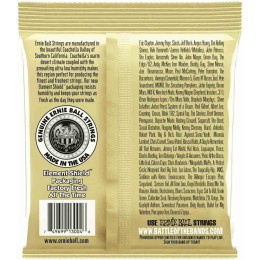 Струны для акустической гитары Ernie Ball 3004 3 Pack Earthwood 80/20 Bronze 11-52