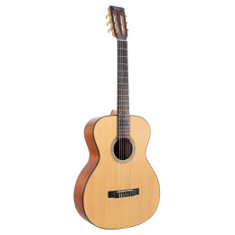 Классическая гитара Valencia VA434 N