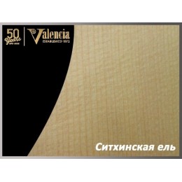 Классическая гитара 3/4 Valencia VC213 N