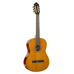 Классическая гитара Valencia VC264 N