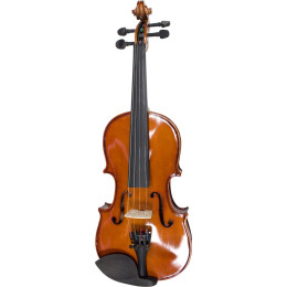 Скрипка 1/2 Varna SV1410 (2/4)