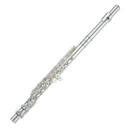 Флейта Livingstone KFL-100S
